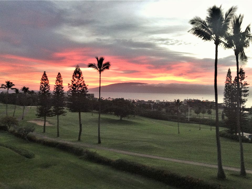 IMG_3115 copy_03162021