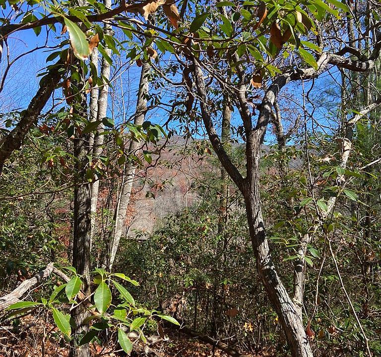 1st image of Lot 97 Hickory Drive