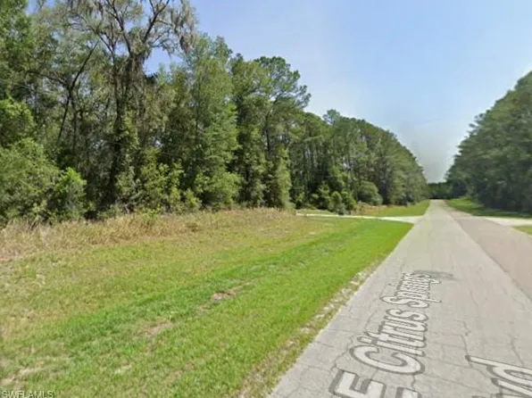 8698 N ALAMEDA DR, CITRUS SPRINGS, FL 34434