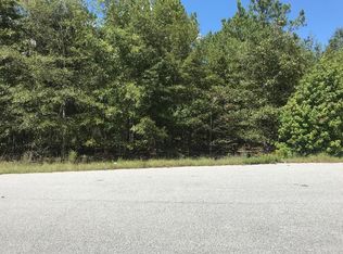 1101 Cheyenne Ct, Manning, SC 29102