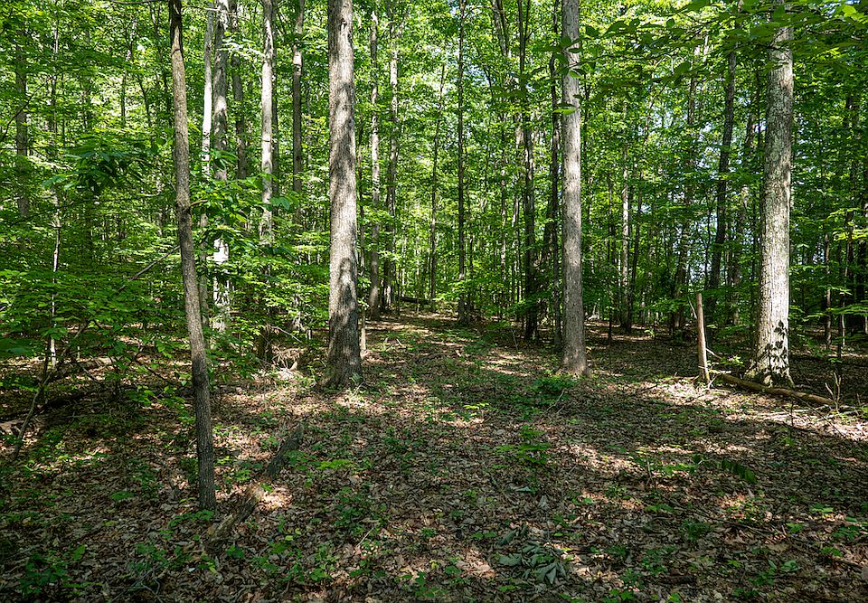 1st image of 1 Sycamore Fork Rd