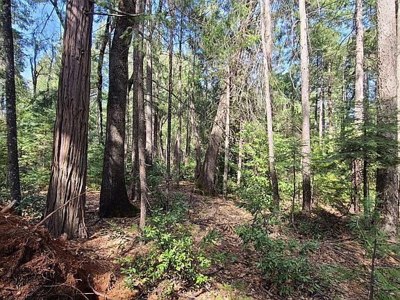 4th image of 10106 Ditch Camp Rd