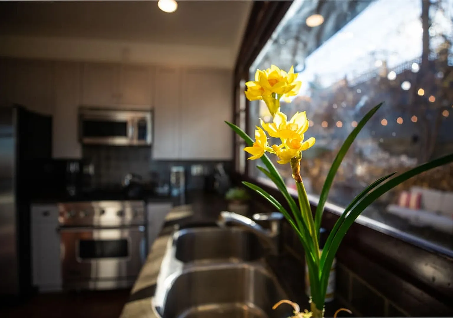 Stunning View, Frank Lloyd Wright Inspired Home! — Photo 4