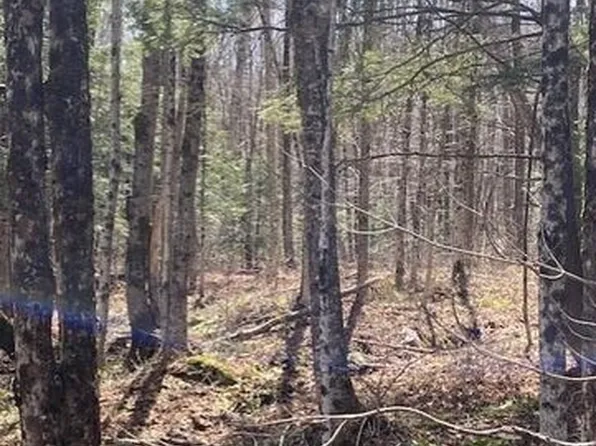 0 Main Rd, Monroe Bridge, MA 01350