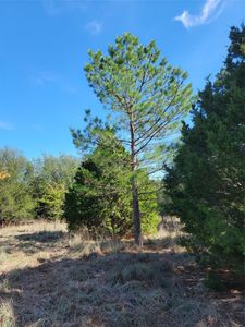 795 Phillips Dr, Azle, TX, 76020