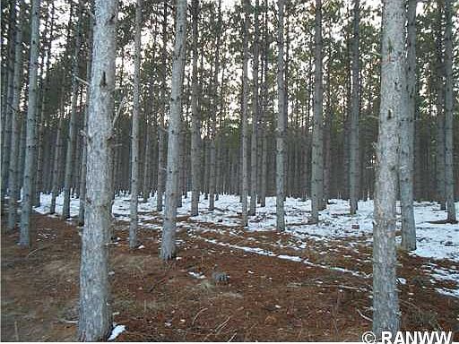 4th image of Lot 4 Pine Road