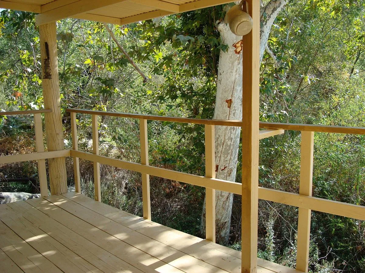 2 bed, 850 sqft, $1,600 — Photo 4