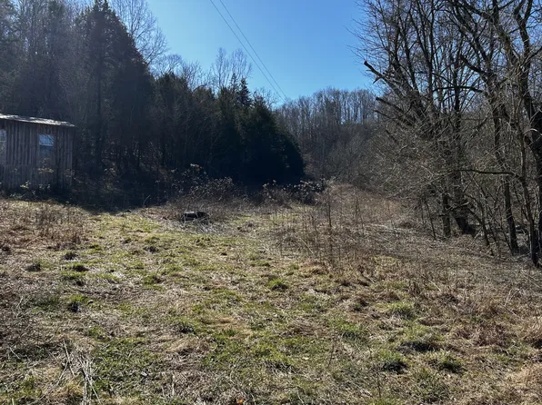 321 Peytons Creek Rd, Pleasant Shade, TN 37145