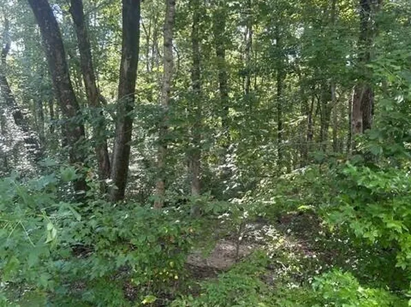 157 Highway 157, Rising Fawn, GA 30738