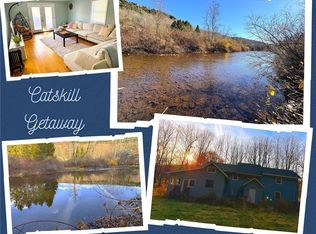 1316 Old River Rd, Roxbury, NY 12474