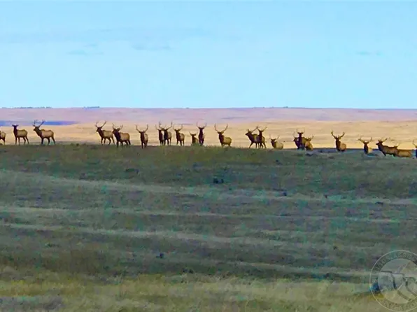 79 Trails End Ln, Lewistown, MT 59457