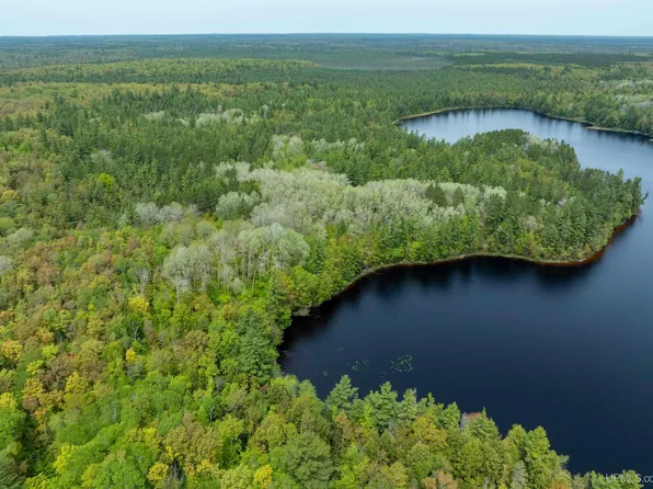Tbd Boot Lake Rd, Manistique, MI 49854