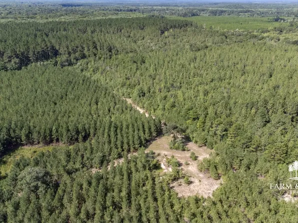 Xx1 Alred Rd, Westville, FL 32464