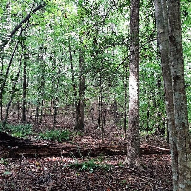 1st image of 1 Bowden Rd #1