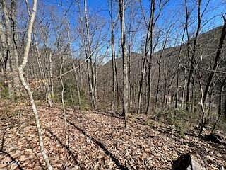 4th image of Carson Springs Rd