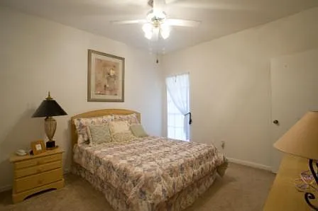 Cape Colony — Photo 21