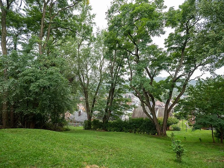 437 Elizabeth St — Photo 5