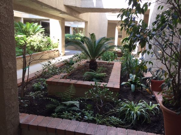 555 Redondo Ave APT 305
