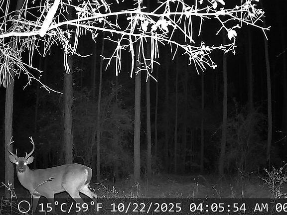 5th image of 3229 Keysville-Boggs Academy Road