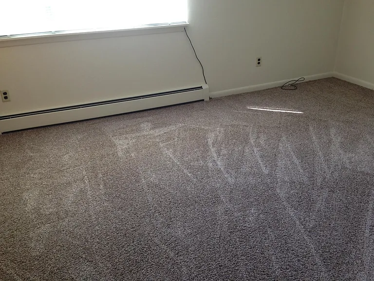 433 Genesee St #4 — Photo 6