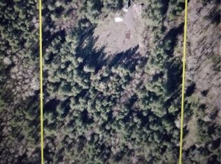 270 Pine Tree Rd, Toledo, WA 98591