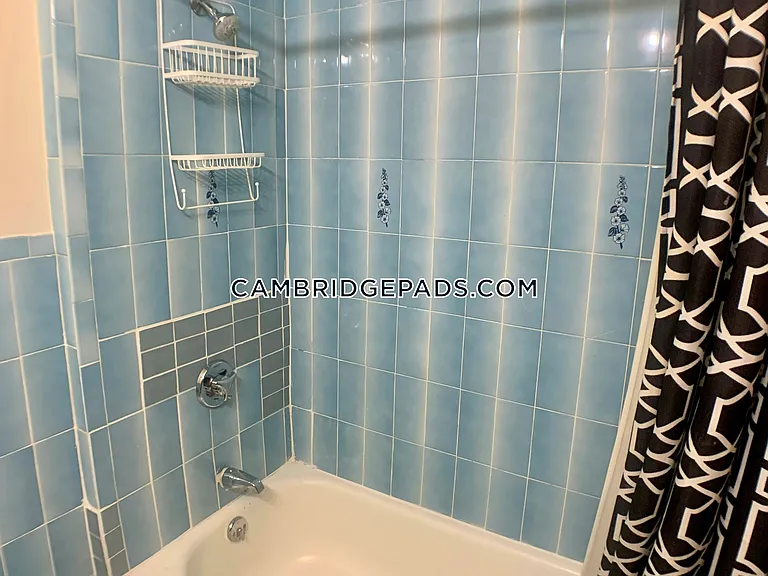 1124 Cambridge St #2 — Photo 19