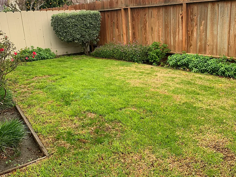 1011 Padre Dr — Photo 18