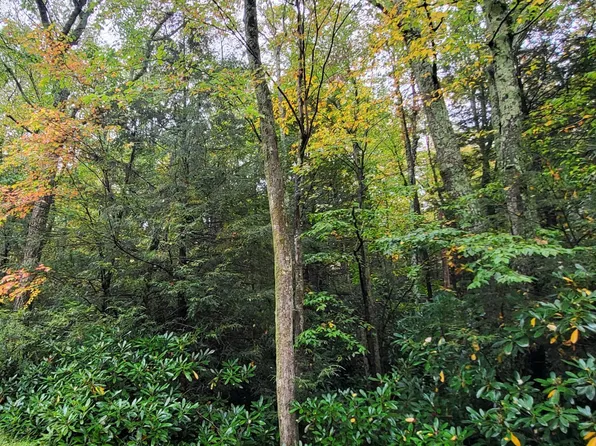 Sunrise Ln, Albrightsville, PA 18210