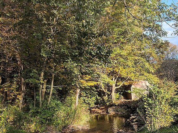 View @ Fire Pit (Downstream)