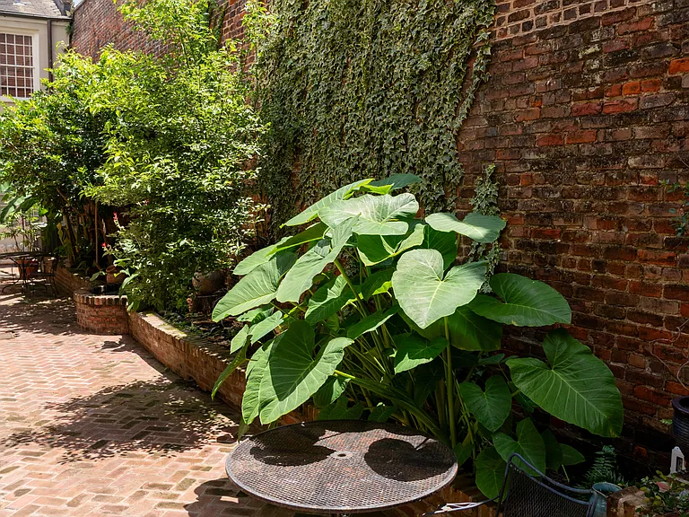 1018 Bienville St — Photo 38