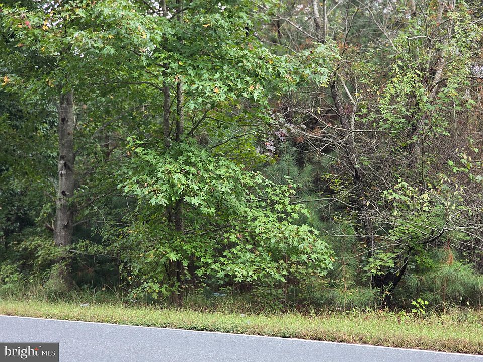 2nd image of 0 Levin Dashiell Rd