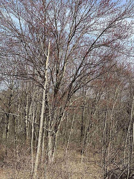 4th image of COUNTY RT 408 #Parcel 127.-1-20