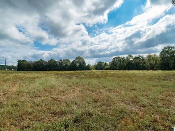 0 Allred Rd #3, Lincoln, AL 35096