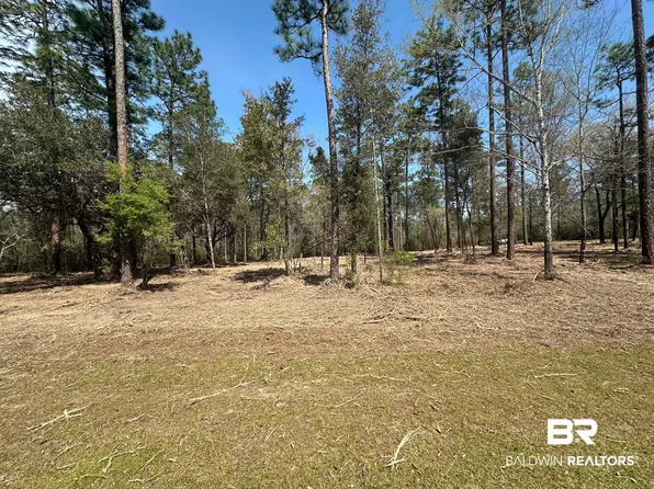 0 Steelwood Ridge Rd, Loxley, AL 36551