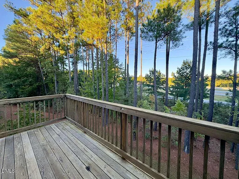 2223 Chattering Lory Ln — Photo 27