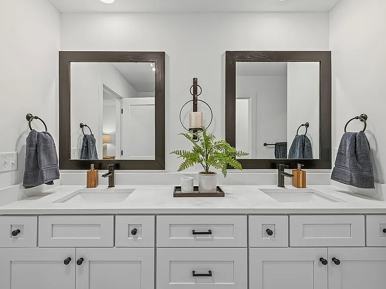 Primary Bathroom Vanity