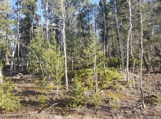 144 Timberline Dr, Lake George, CO 80820