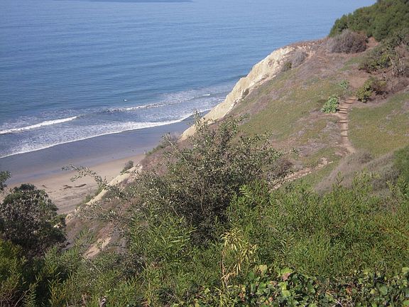 View of Trail to Beach