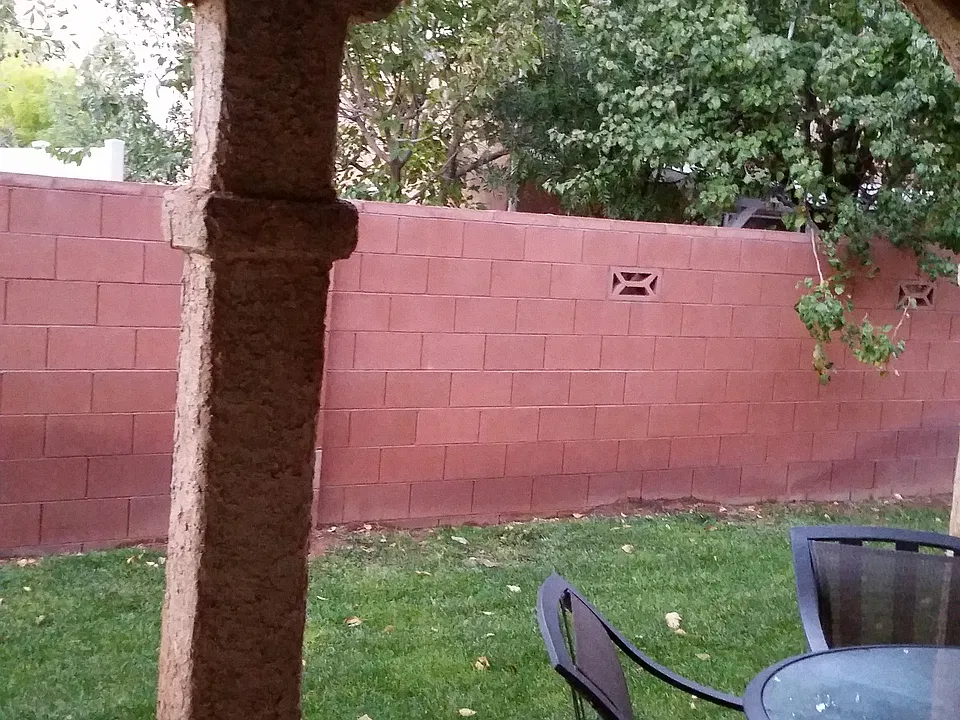 Back patio