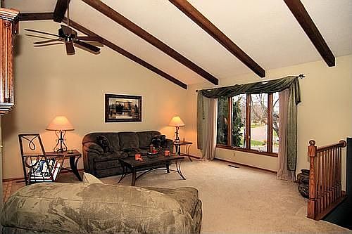 Vaulted Living Room