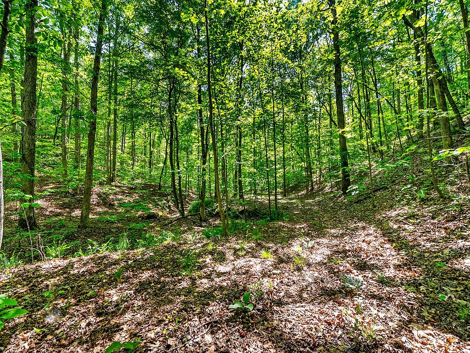 43rd image of 635 Seven Mile Ridge Rd
