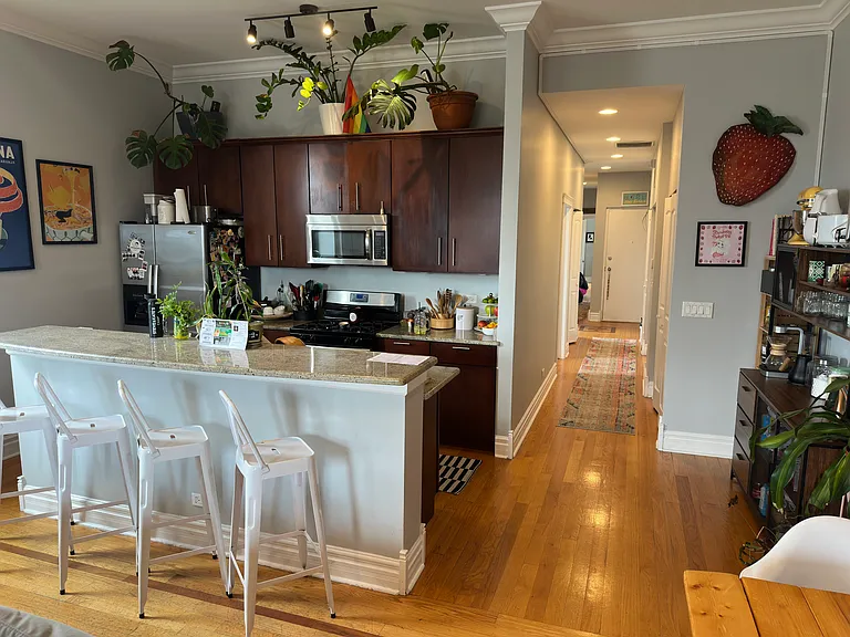 1135 W Chicago Ave #2W — Photo 13