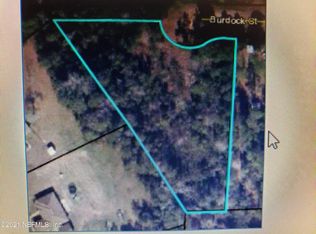4625 Burdock Ct, Middleburg, FL 32068