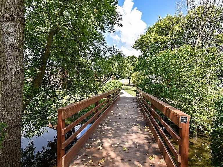 Beautiful Pedestrian Bridge