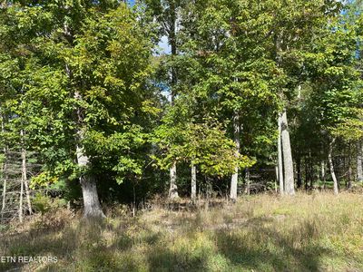 112 Hanning Dr, Crossville, TN, 38558