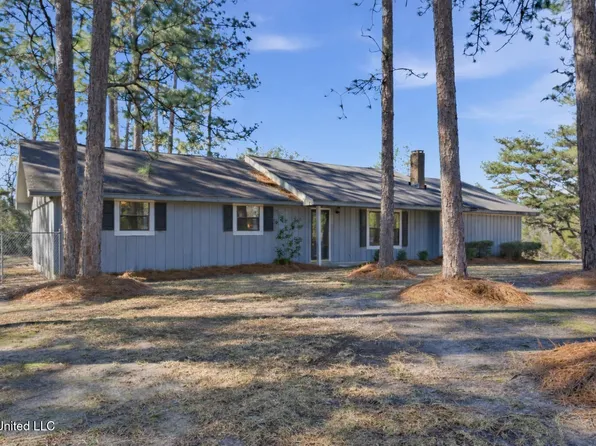 224 Hensarling Rd, Petal, MS 39465
