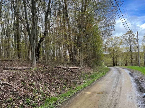 0 Shady Ln, Franklinville, NY 14737