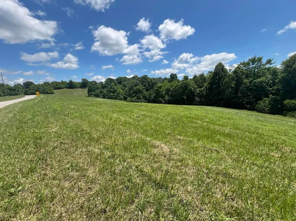 9951 Dozer Ridge Rd, Blue Rock, OH 43720