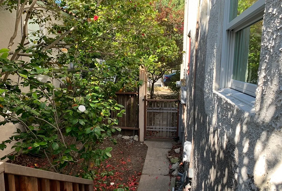 684 Colusa Ave — Photo 2