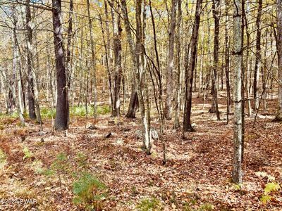 45 Hawks Nest Dr #590, Hawley, PA, 18428